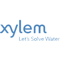 xylem